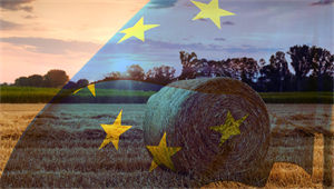 AGRINSIEME: PAC POST2020, PRIORITARIO LAVORARE PER DARE CERTEZZA GIURIDICA AD AGRICOLTORI GARANTENDO CONTINUITÀ STRUMENTI ESISTENTI
